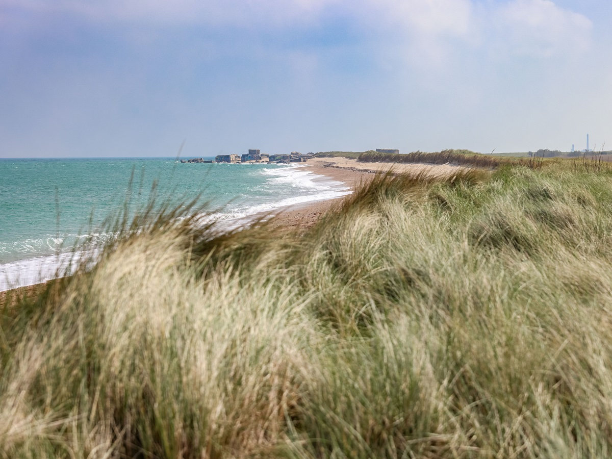 Armel Vracvicq-sur-mer-plage de Néville-Armel Vrac-1
