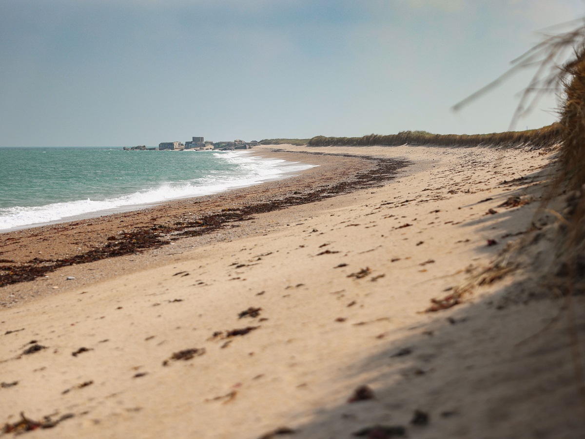 Armel Vracvicq-sur-mer-plage de Néville-Armel Vrac-(2)