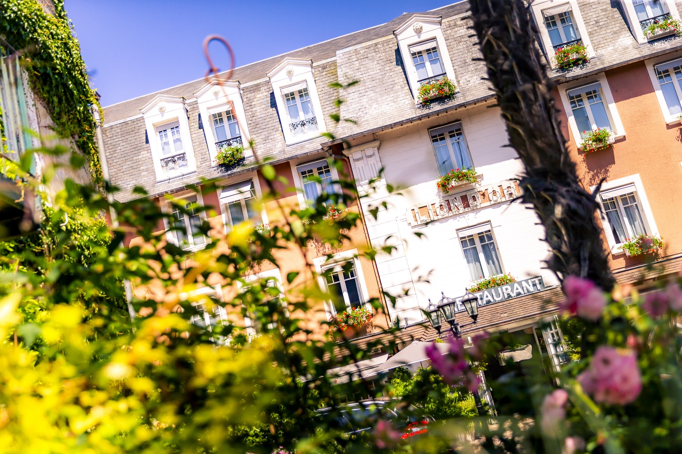 LION D'ORHOTEL