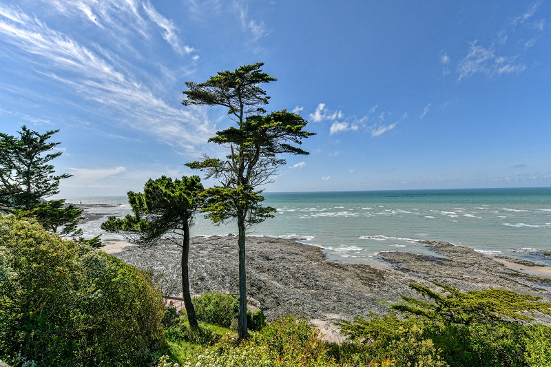 Benoit Croisy, coll. ville de GranvilleVue mer 2019_1 BD © Benoit Croisy, coll. ville de Granville
