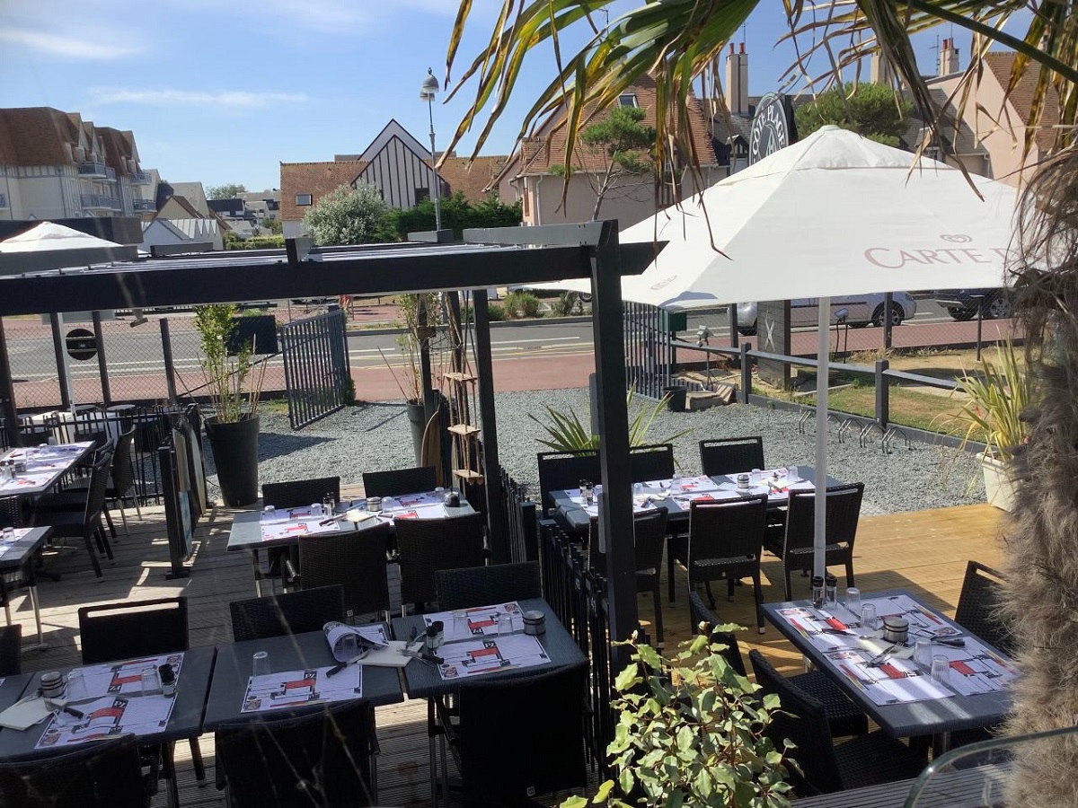 Jean-Pierre Thérèsevue-terrasse-cote-plage-courseulles-palmier-2