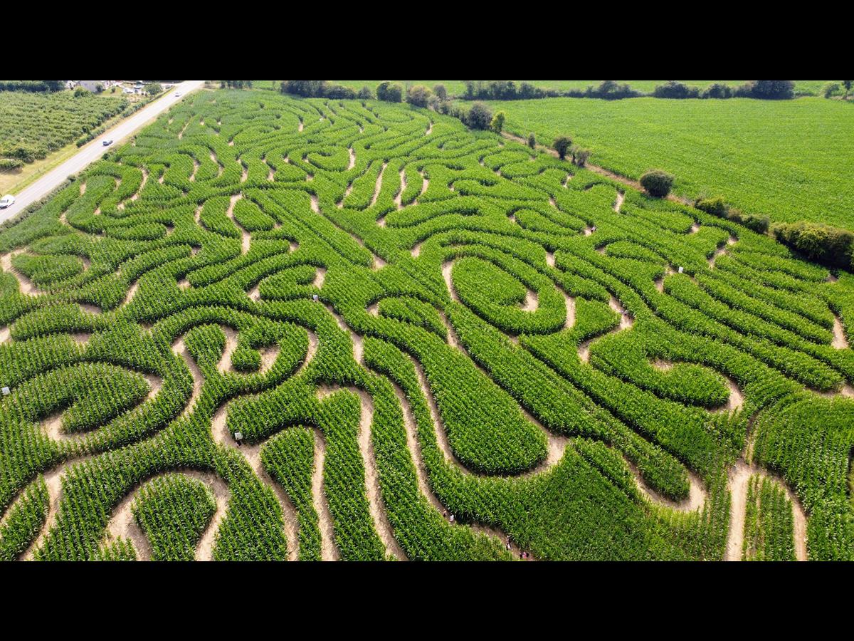 © LABYRINTHE LA CLE DES CHAMPSYVETOT-BOCAGE-LABYRINTHE-LA-CLÉ-DES-CHAMPS-1